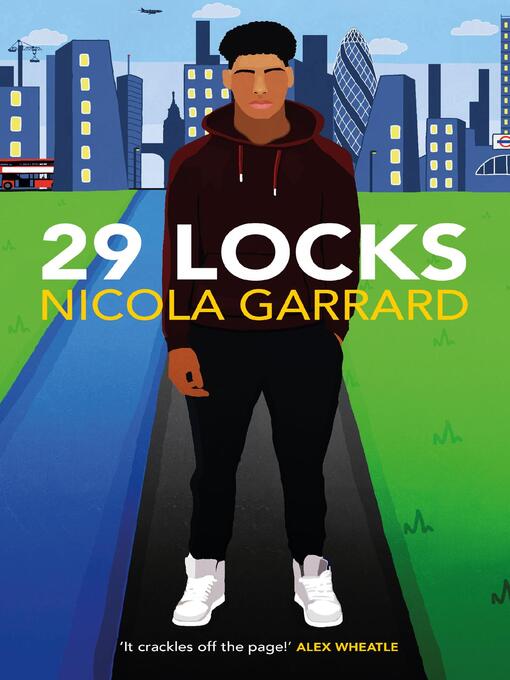 Cover image for 29 LOCKS